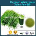 100% natural Organic wheatgrass juice extract , wheatgrass powder